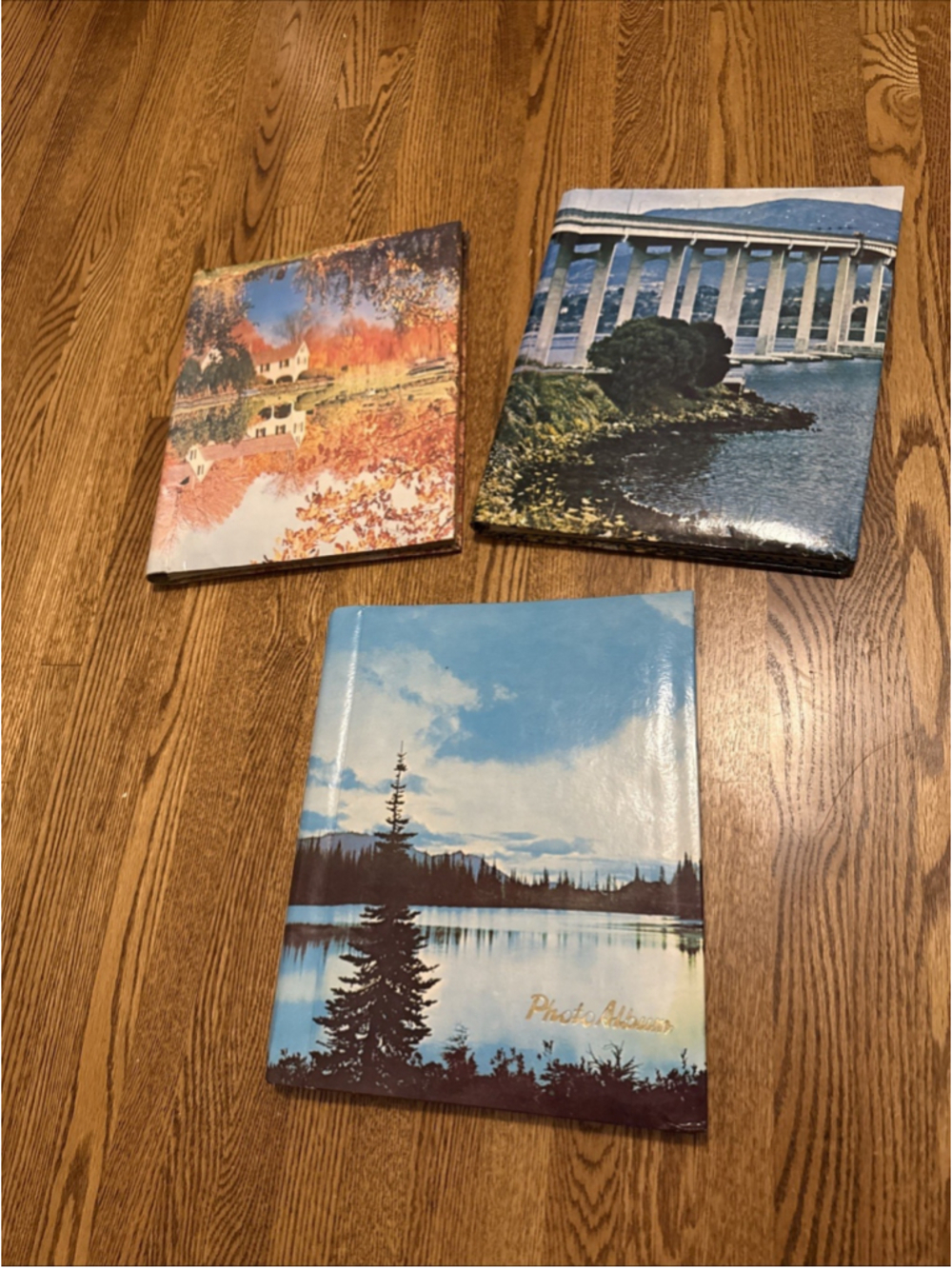 3 Vintage 1961-1965 Picture Photo Album